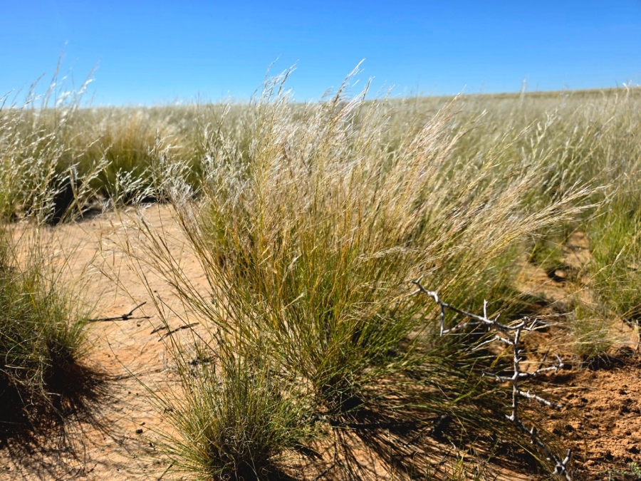 Commercial Property for Sale in Upington Rural Northern Cape